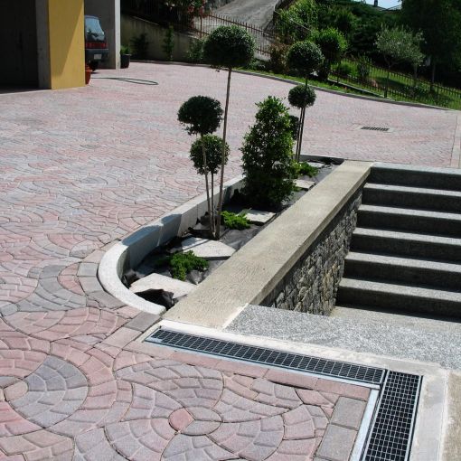 contorno piante